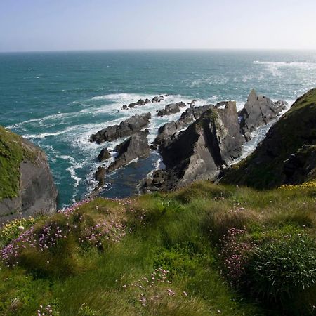 Galley Head Lightkeeper'S Houses Donoure Bagian luar foto
