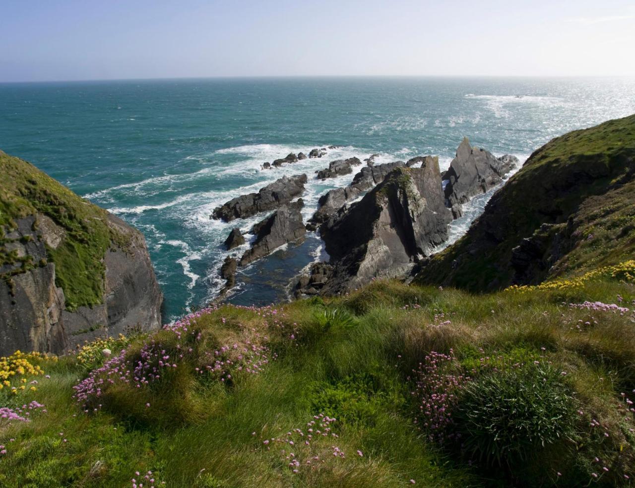 Galley Head Lightkeeper'S Houses Donoure Bagian luar foto
